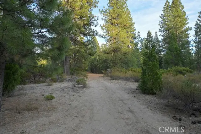 0 Shasta Cove, Weed, CA 96094 - #2