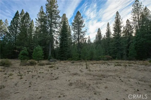 0 Shasta Cove, Weed, CA 96094 - #3