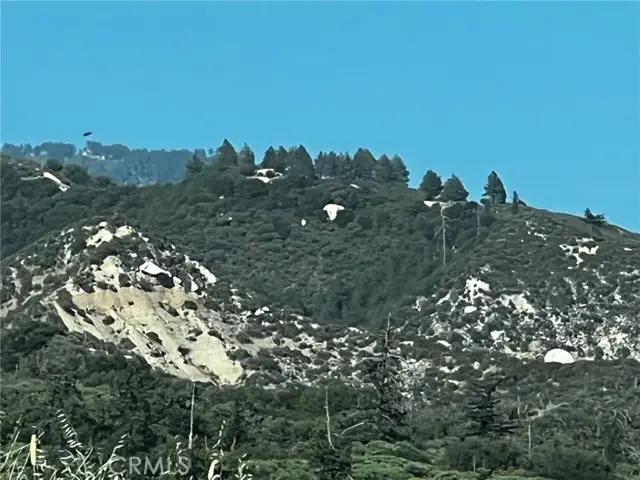 35194 Pyramid, Running Springs, CA 92382 - #2