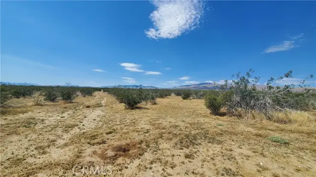 0 Budlong Ave & 114th St West, Rosamond, CA 93560 - #1