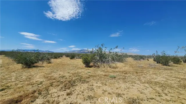 0 Budlong Ave & 114th St West, Rosamond, CA 93560 - #2