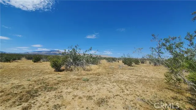 0 Budlong Ave & 114th St West, Rosamond, CA 93560 - #3