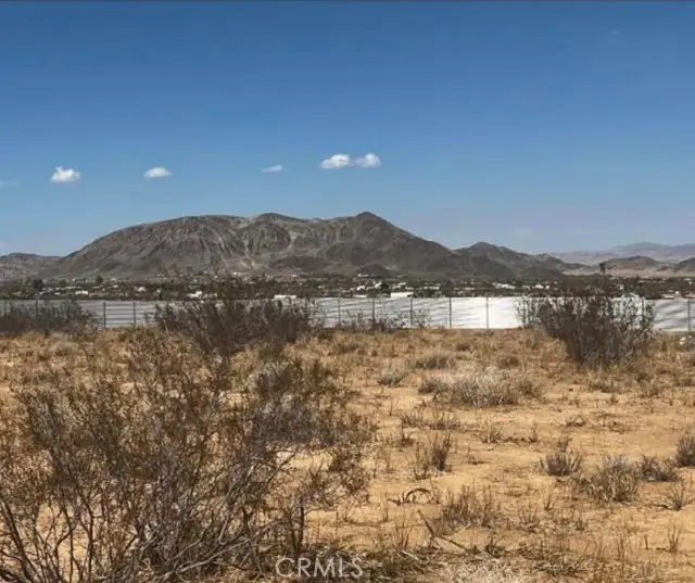 425 Gerber Avenue, Landers, CA 92285 - #2