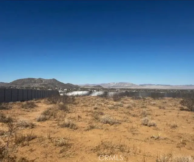 425 Gerber Avenue, Landers, CA 92285 - #3