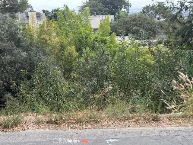 891 Mount Washington Drive, Los Angeles, CA 90065 - #1