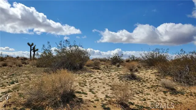 0 Reed Ave, Mojave, CA 93501 - #2