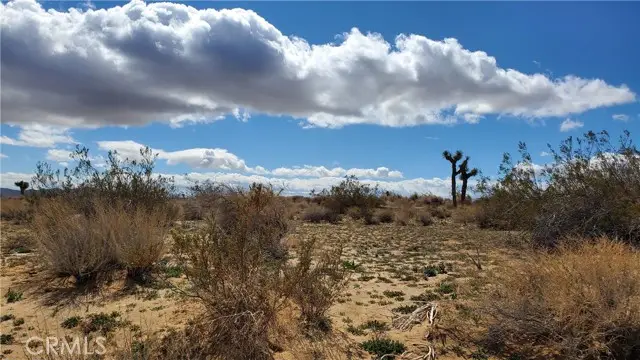 0 Reed Ave, Mojave, CA 93501 - #3