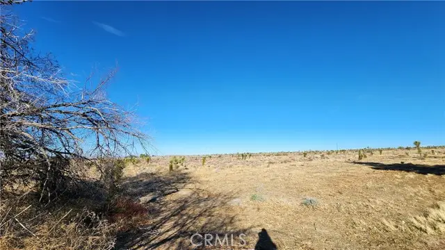 0 Crystalaire Drive, Llano, CA 93544 - #3