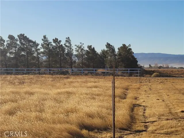 81 Avenue D, Lancaster, CA 93536 - #1