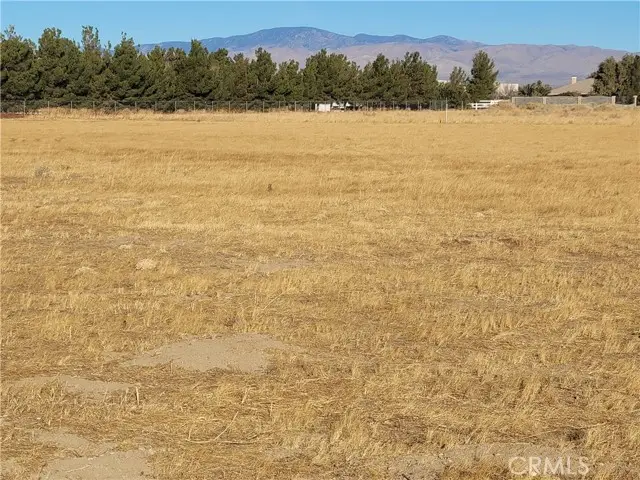 81 Avenue D, Lancaster, CA 93536 - #3