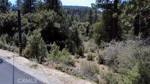 2313 Askin Ct., Pine Mountain Club, CA 93222 - #2