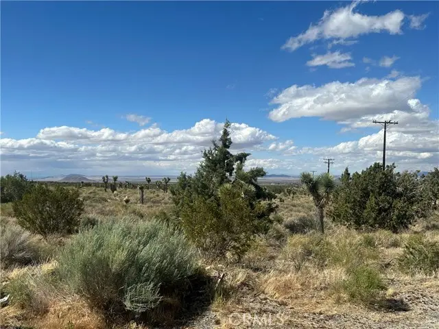 0 263rd Street, Llano, CA 93544 - #3