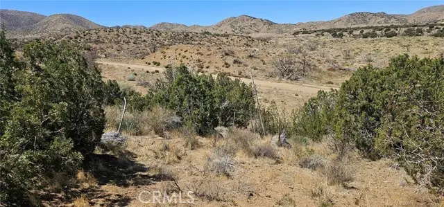 0 98th Street, Littlerock, CA 93543 - #1