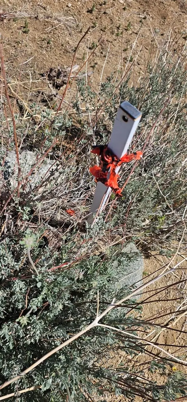 0 98th Street, Littlerock, CA 93543 - #2