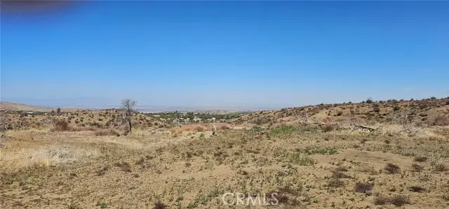 0 98th Street, Littlerock, CA 93543 - #3