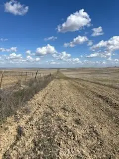 0 Kings Rd, Lost Hills, CA 93249 - #2