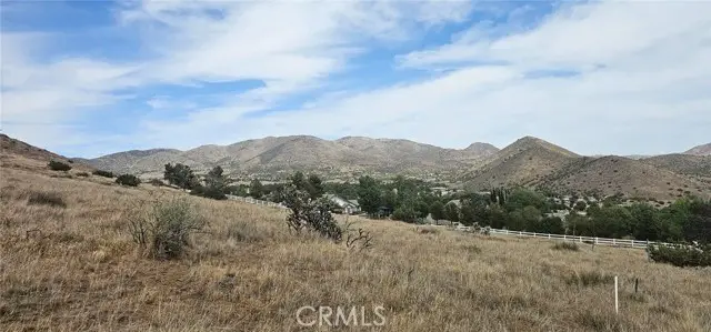 #3