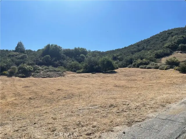 0 Noblett Drive  VIC Elderberr, Lake Hughes, CA 93532 - #2