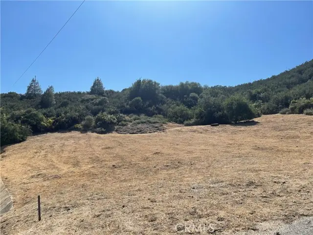 0 Noblett Drive  VIC Elderberr, Lake Hughes, CA 93532 - #3
