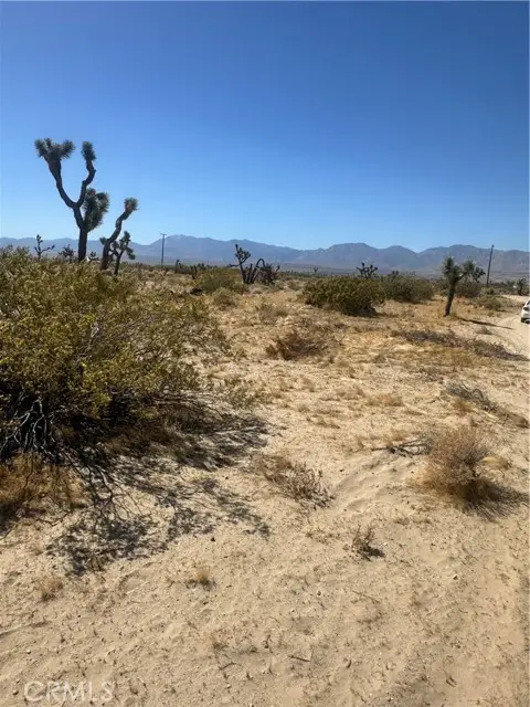 25311 Avenue H-8, Lancaster, CA 93535 - #1