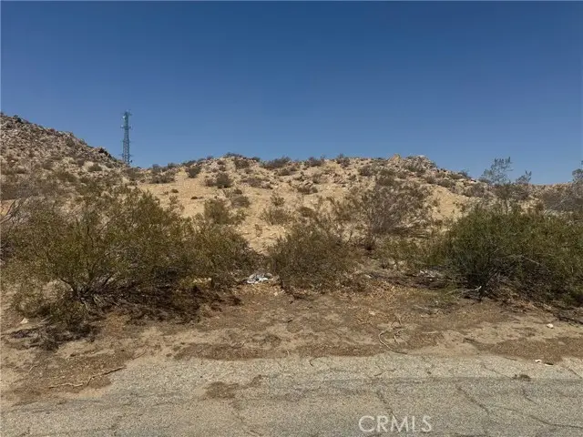 162 High Chaparral, Palmdale, CA 93591 - #2