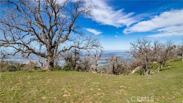 26300 Hazelwood Court, Tehachapi, CA 93561 - #1