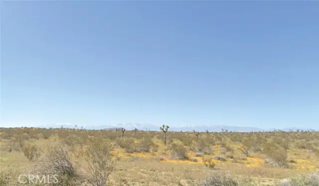 0 185th Ste, Lancaster, CA 93535 - #1