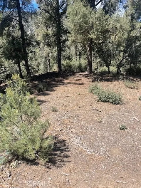 2426 Cedarwood, Pine Mountain Club, CA 93222 - #2