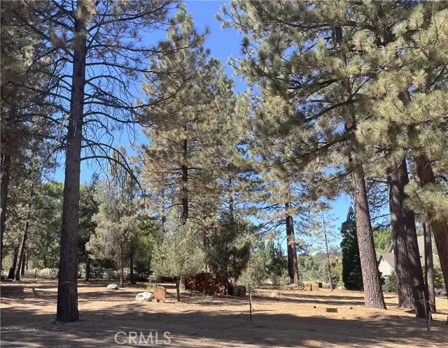 2613 Teakwood Court, Pine Mountain Club, CA 93222 - #1