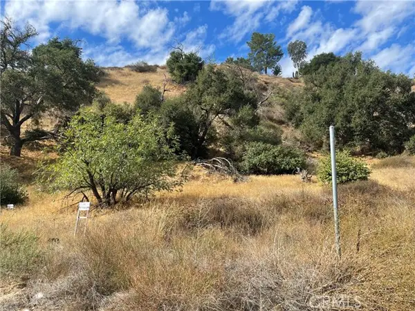 0 Chiquita Canyon RD, Castaic, CA 91384