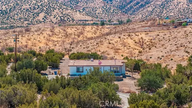 29315 121st St E, Littlerock, CA 93543 - #2