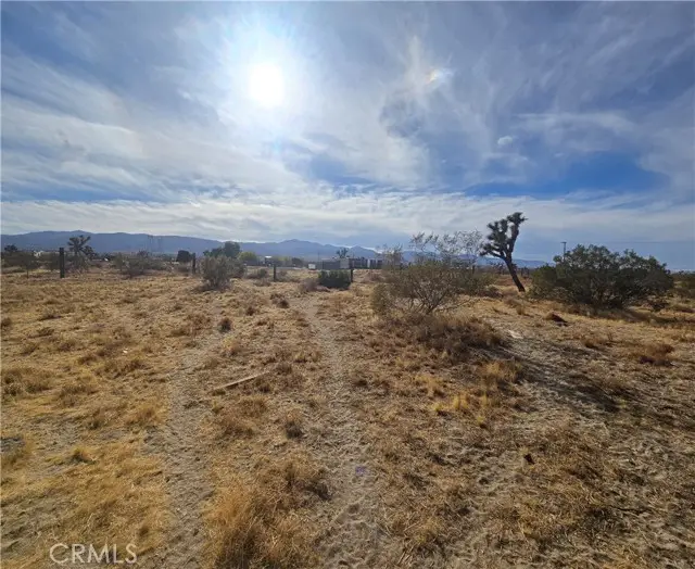 0 263rd Road, Pinon Hills, CA 92372 - #3