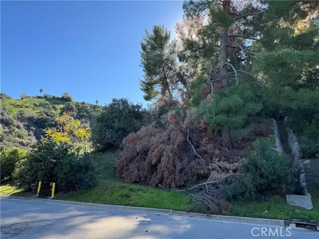 3 ambar Drive, Woodland Hills, CA 91364 - #3