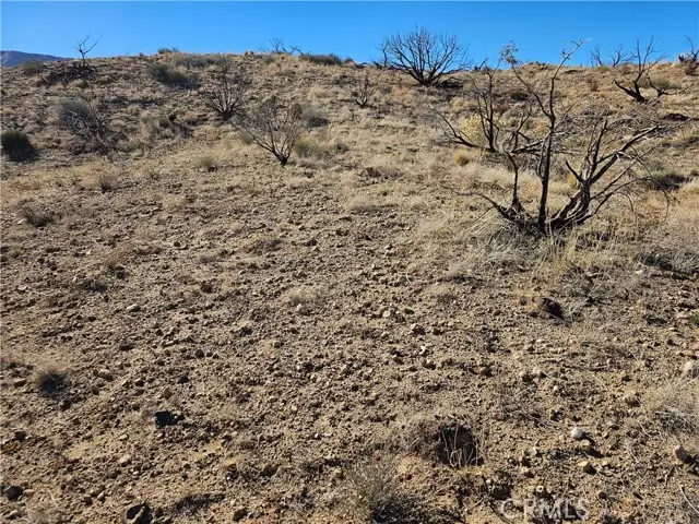 6 128th, Littlerock, CA 93543 - #1