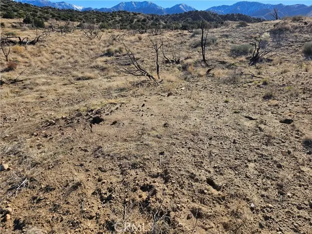 6 128th, Littlerock, CA 93543 - #2