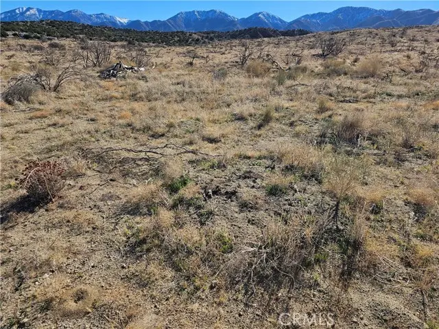 126 Avenue Y4, Littlerock, CA 93543 - #2