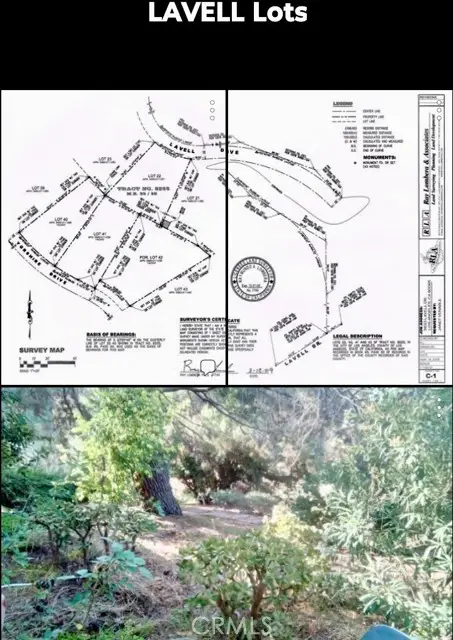 3633 Lavell Drive, Los Angeles, CA 90065 - #1