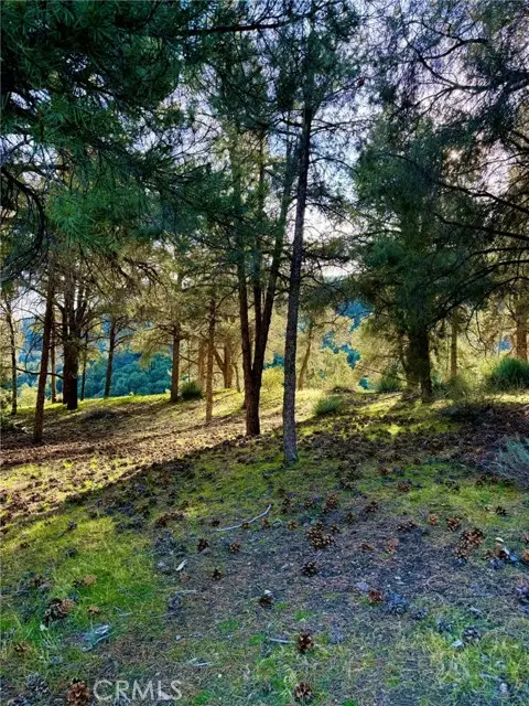 2604 Tirol, Frazier Park, CA 93225 - Image #2