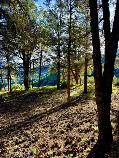 2604 Tirol, Frazier Park, CA 93225 - Image #3