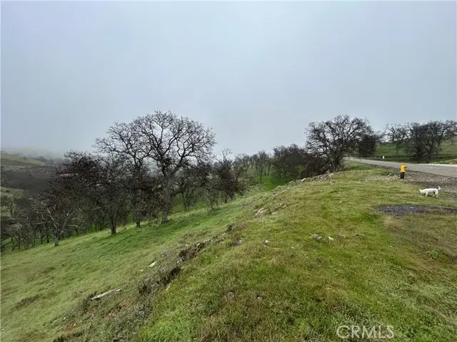 9784 Torito, La Grange, CA 95329 - Image #2