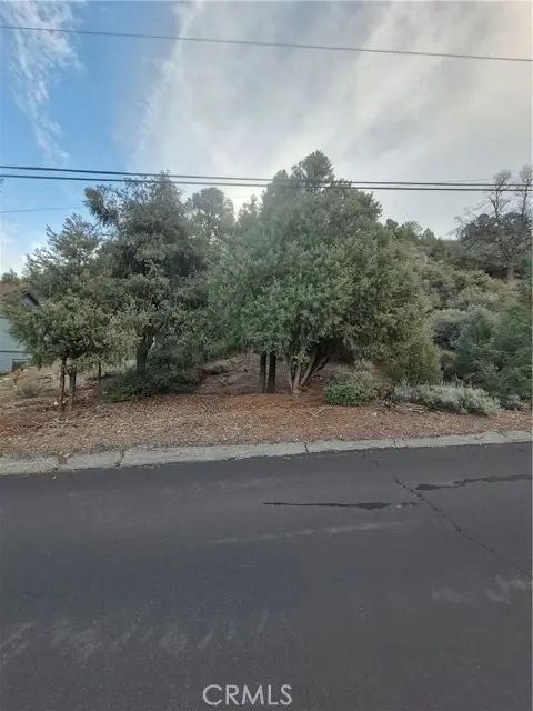 2024 WOODLAND DRIVE, PINE MOUNTAIN CLUB, CA 93222