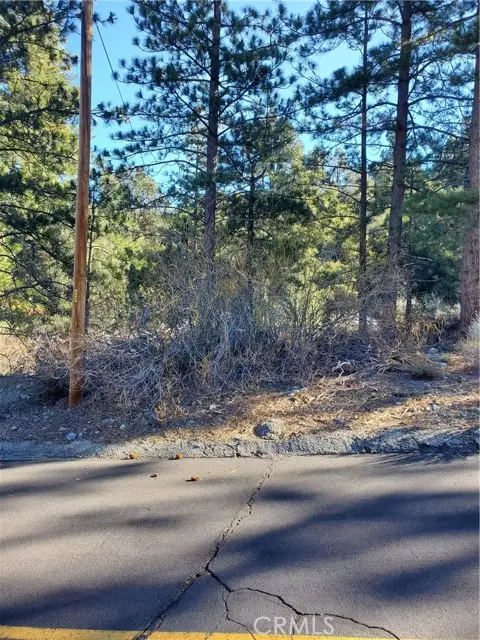 1609 Banff, Pine Mountain Club, CA 93222 - Image #3