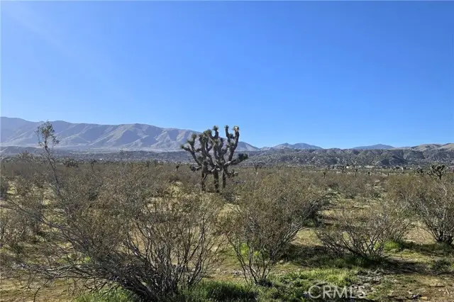 105 E Ave V8 & 106th E, Pearblossom, CA 93553 - #1