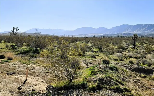 105 E Ave V8 & 106th E, Pearblossom, CA 93553 - #2