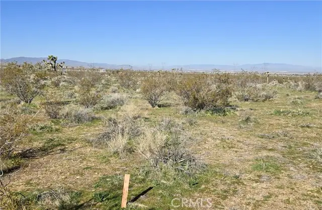 105 E Ave V8 & 106th E, Pearblossom, CA 93553 - #3