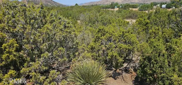 0 Easy Street, Acton, CA 93510 - #1