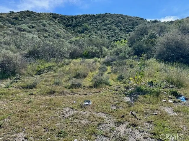 17930 Scherzinger Lane, Canyon Country, CA 91387 - #2