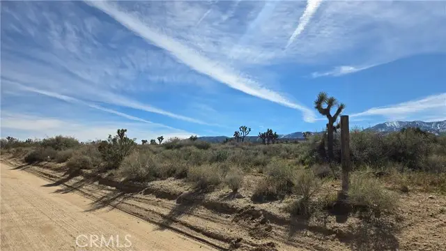 0 Fort Tejon Rd vicinity 181st St E, Llano, CA 93544 - #1