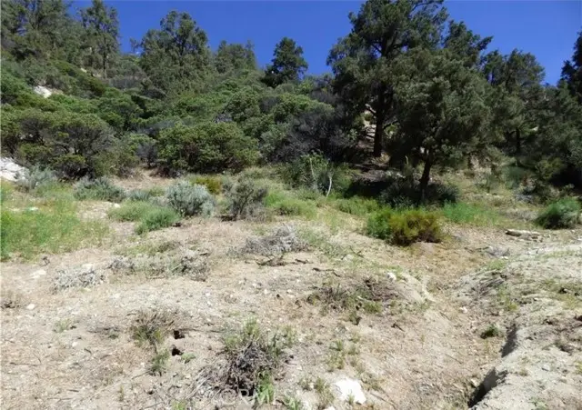 0 Escolon Trl, Frazier Park, CA 93225 - #3