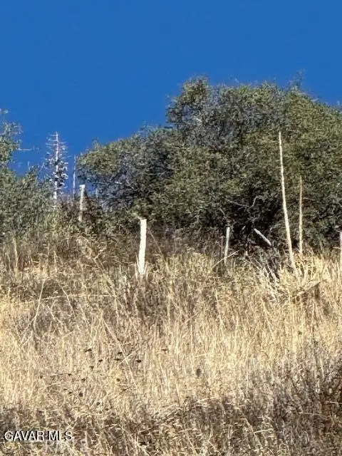 4700 Shannon View Road, Acton, CA 93510 - #3